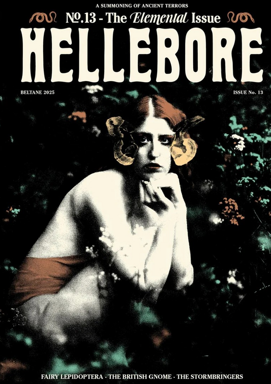 Hellebore # 13 The Elemental Issue